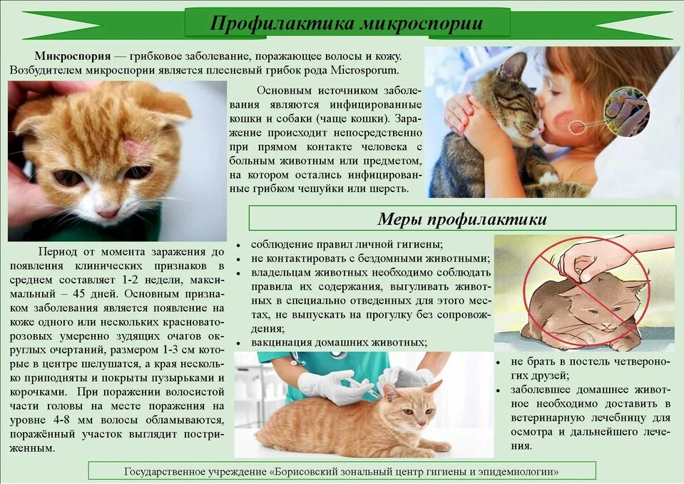 Берегите себя и своих близких! Поделитесь этим постом, чтобы предупредить других. 

#МБОУСОШ2Палатка