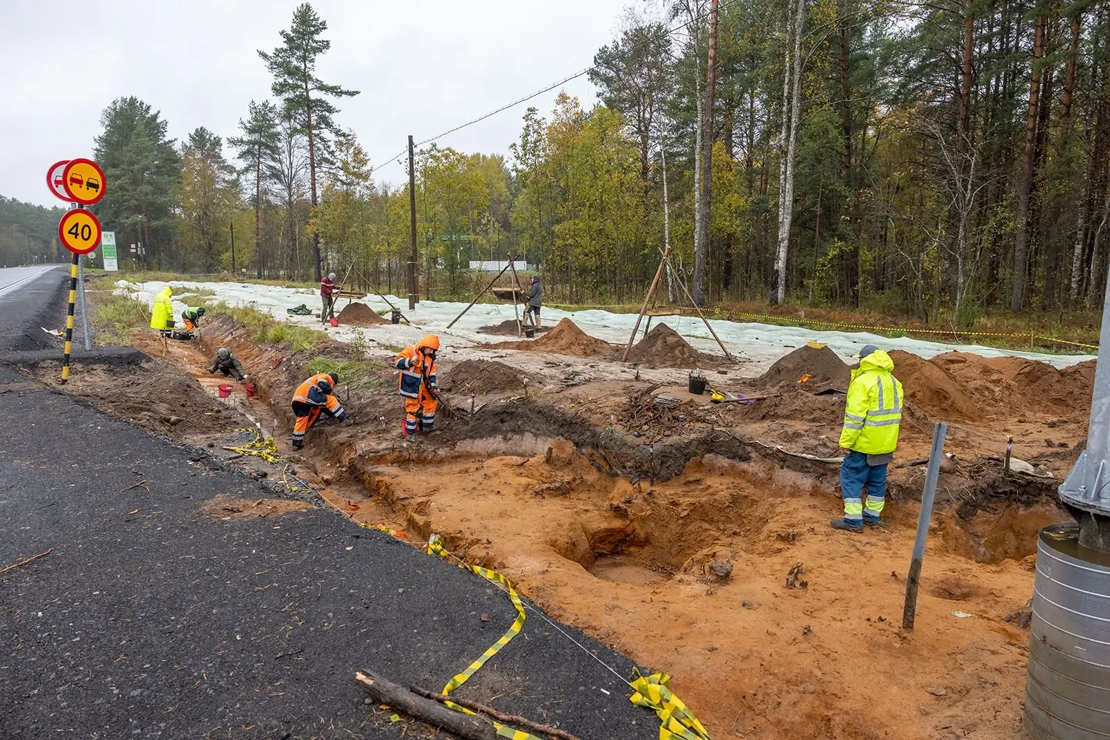 В Карелии нашли следы операции на зубах, проведённой 8 тысяч лет назад