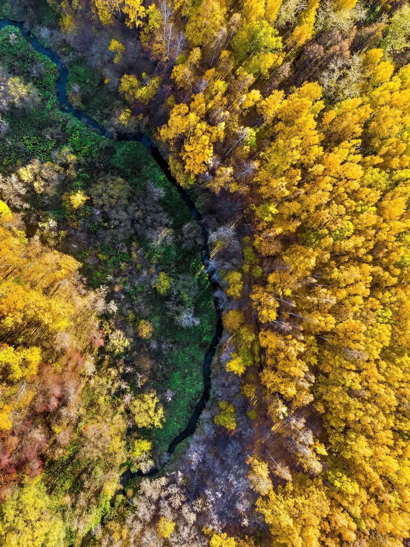 Река Егошиха в красках золотой осени