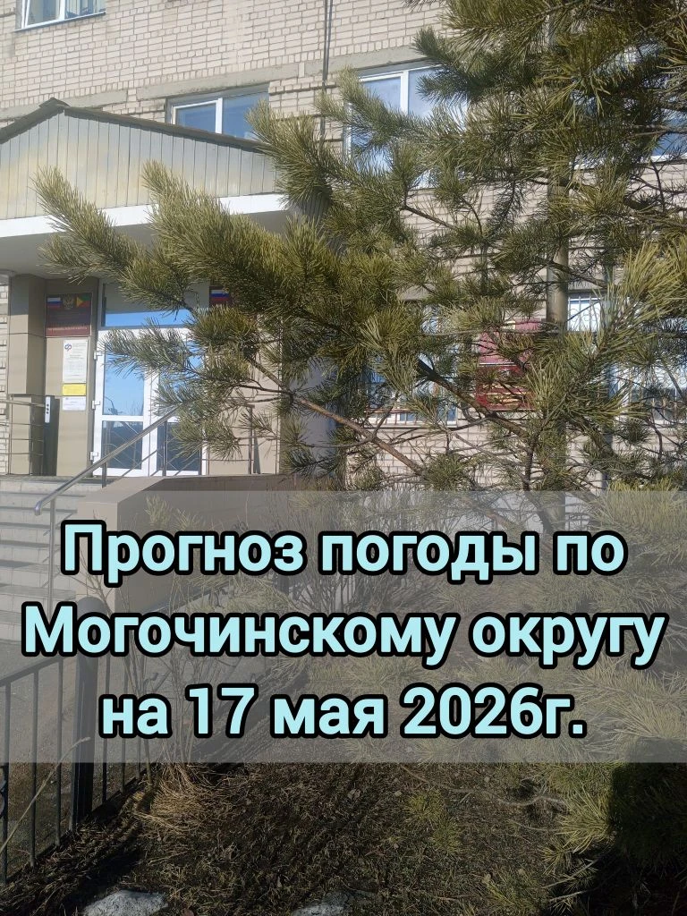 ⛅️Прогноз погоды по Могочинскому округу на 17 мая 2026 г.  ⛅️ Преимущественно без осадков. 🌬️Ветер ю