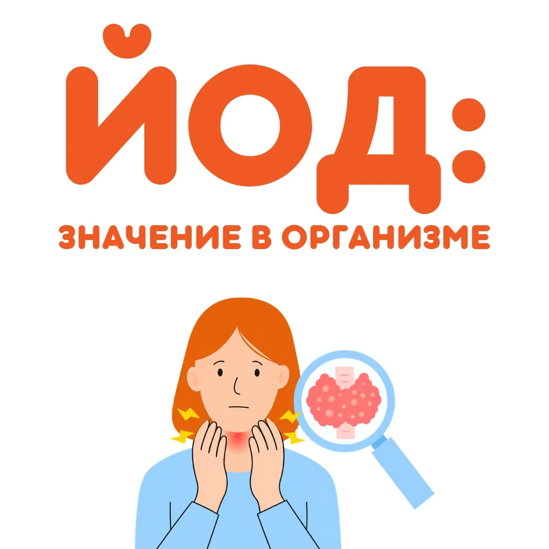 ЙОД: что это за микроэлемент и зачем он нужен нашему организму?

➡️ всю информацию расписала для Вас