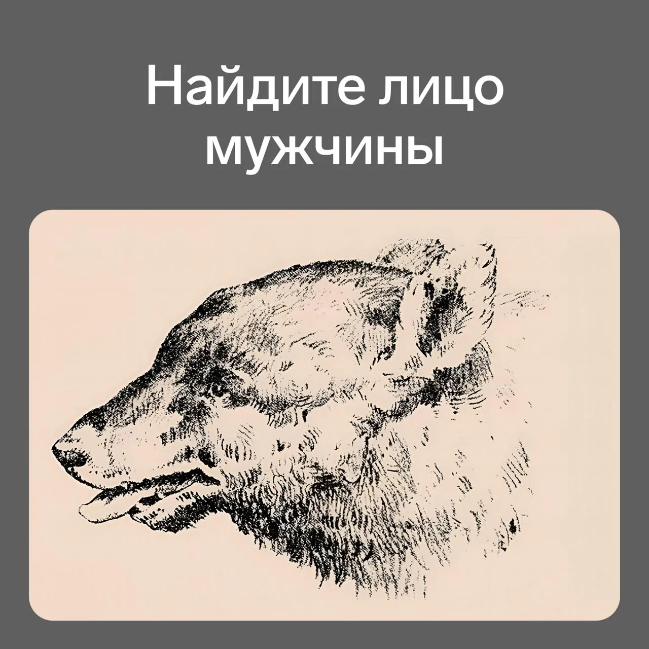 Лишь 1% людей могут найти на этой картинке лицо мужчины за 7 секунд.

А вы видите?

🔥 — да
👍 — нет