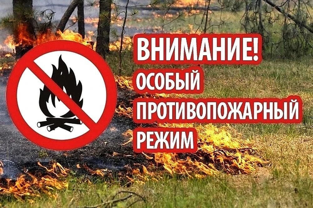 В соответствии с Постановлением Кабинета Министров РТ от 15.04.2026 №420 на территории ...