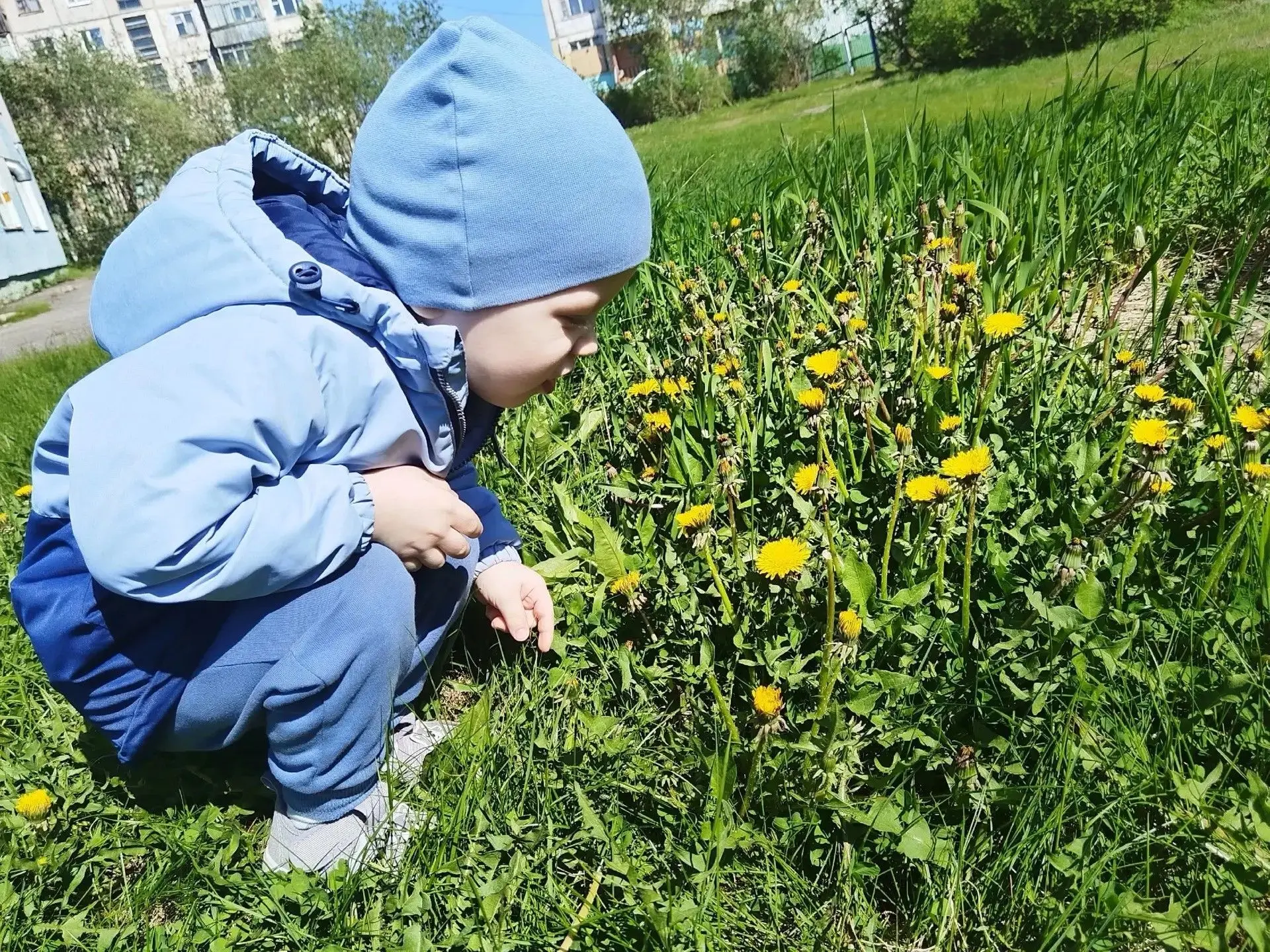 Светлана Горбунова: лето воркутинских дошколят

Июнь радует воркутинцев теплыми днями и ярким солнце