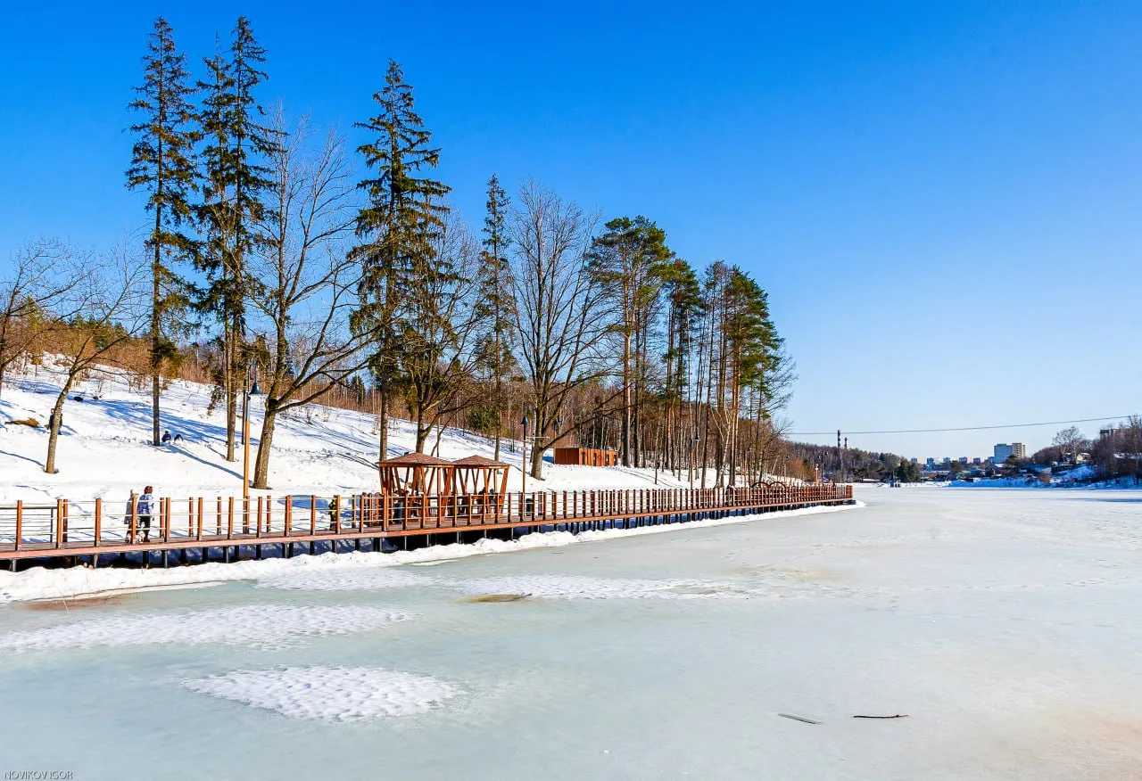 Всем весеннего настроения и отличного дня🔆  https://t.me/vdv_volkov_chat
