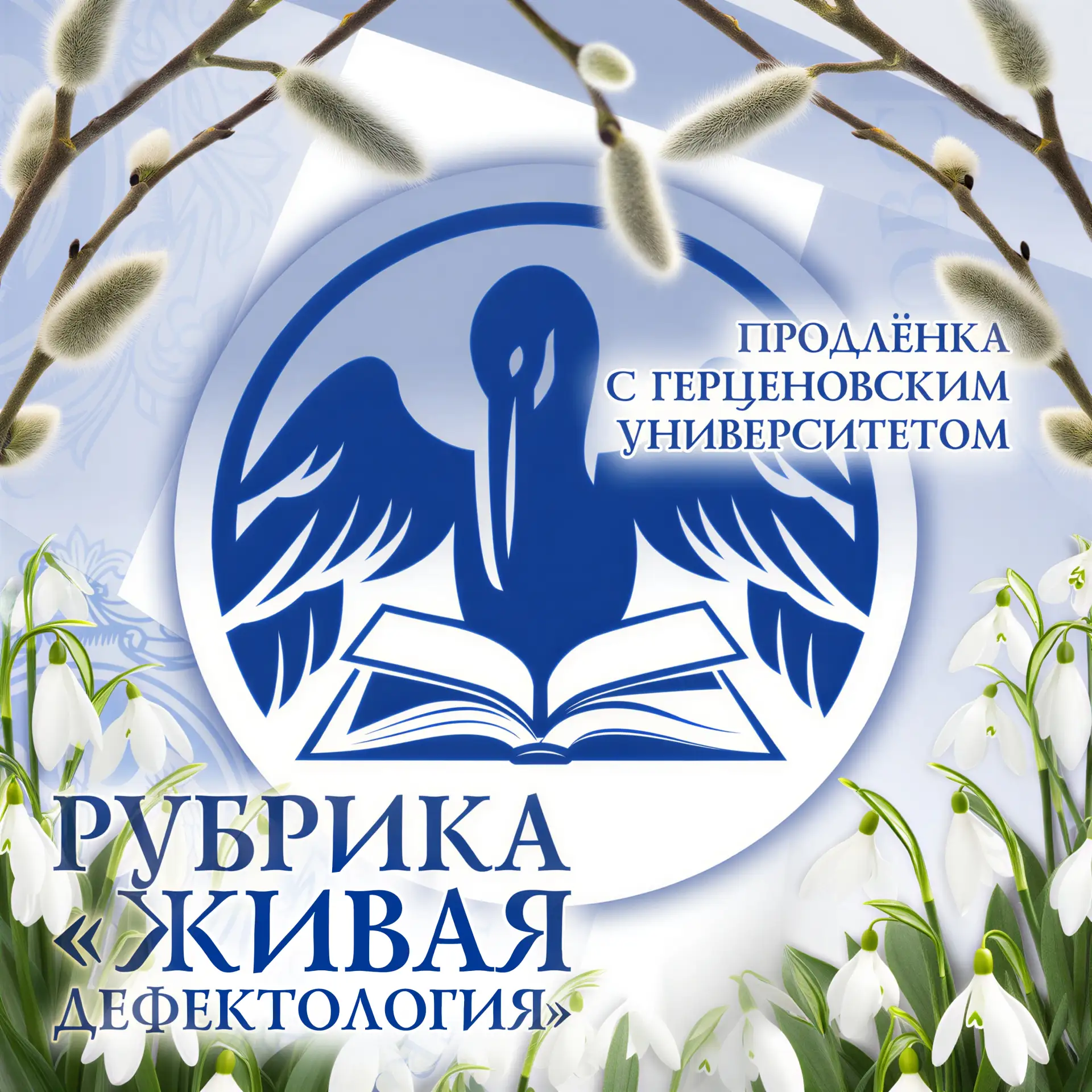 ✨ Студенты института дефектологического образования и реабилитации продолжают работу над вебинарами 