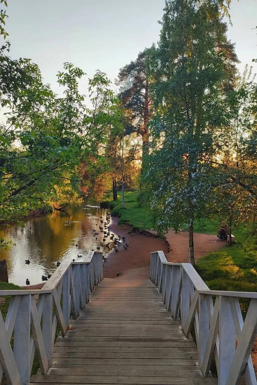🍂 Осеннее золото