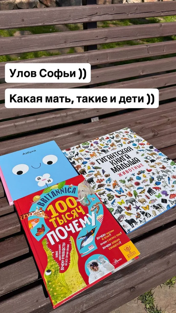 Изображение 7 к публикации «Vesperfin»