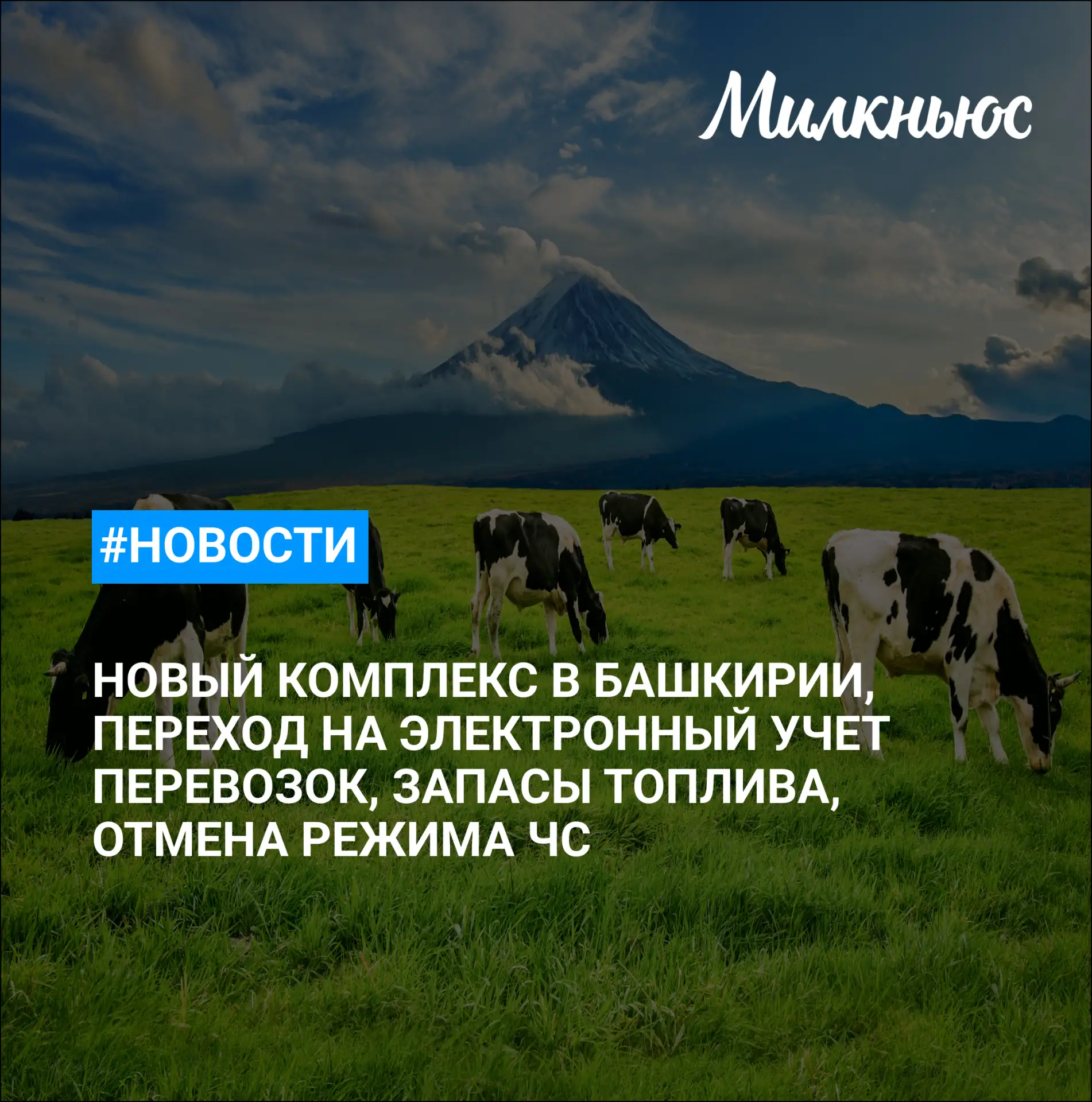 🐮 «Молочные фермы «Рощинский» построит комплекс на 4,5 тыс. дойных коров за 5,9 млрд руб. в Башкири