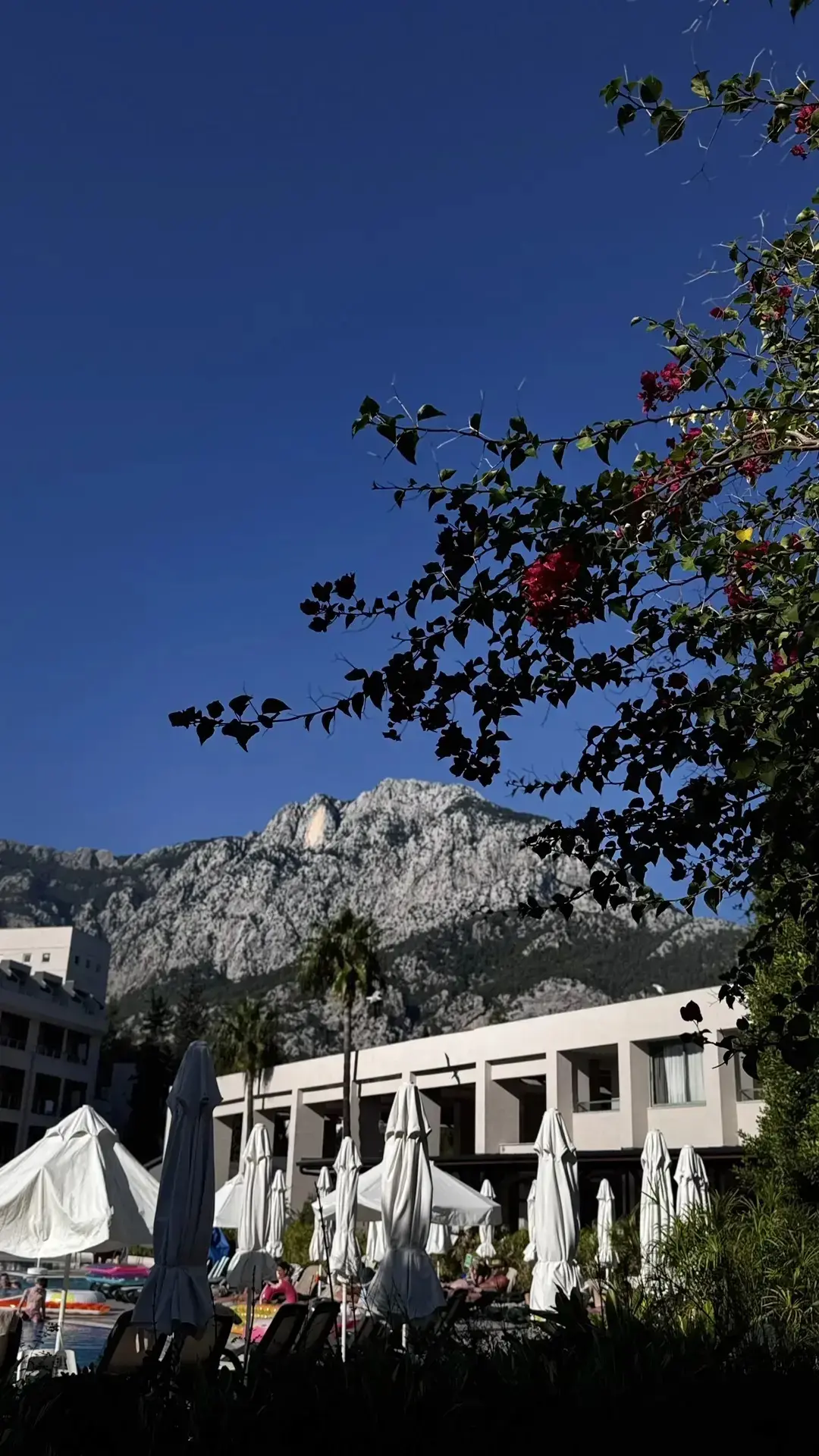 Классная проверенная четвёрка для семейного отдыха в живописном Кемере🌴