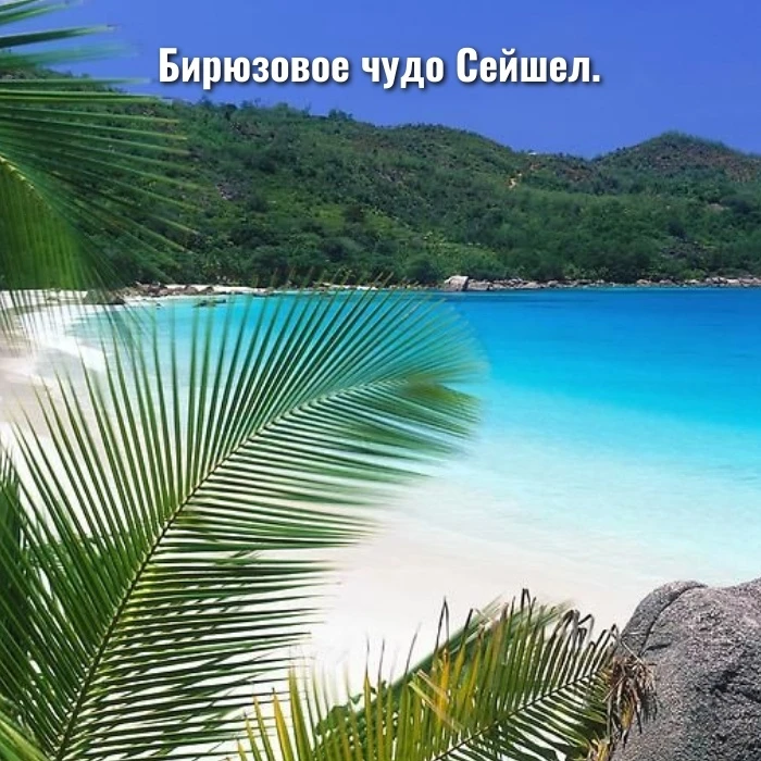 Бирюзовое чудо Сейшел.

Представь: ты просыпаешься под звук волн, выходишь на веранду, а перед тобой