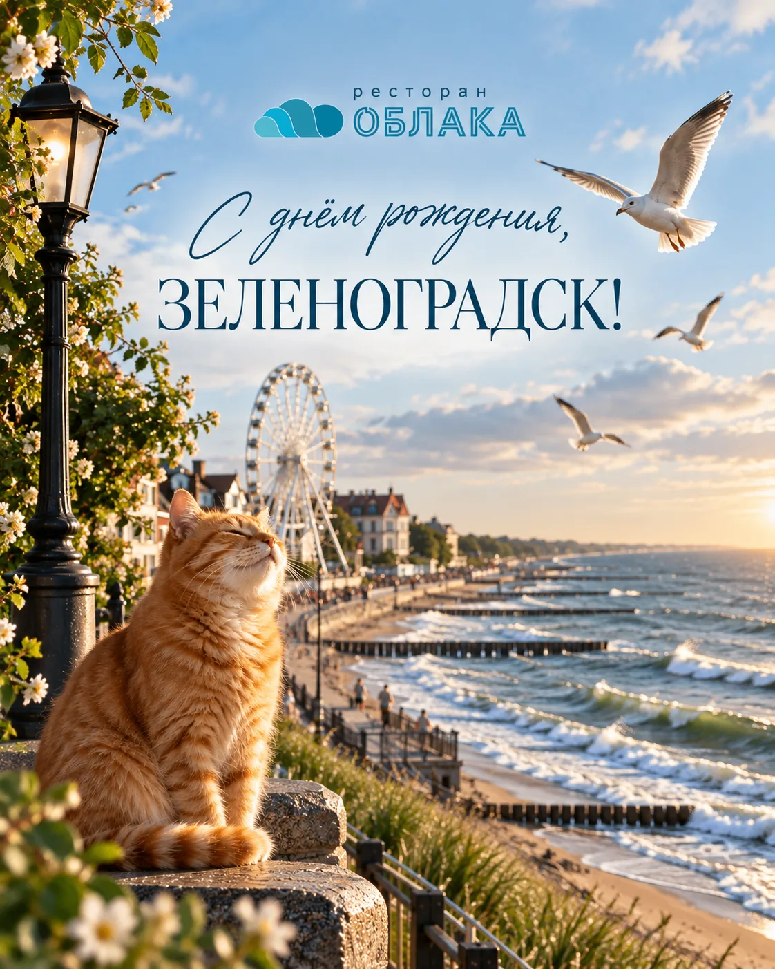 С днём рождения, любимый Зеленоградск 🌊🎉
