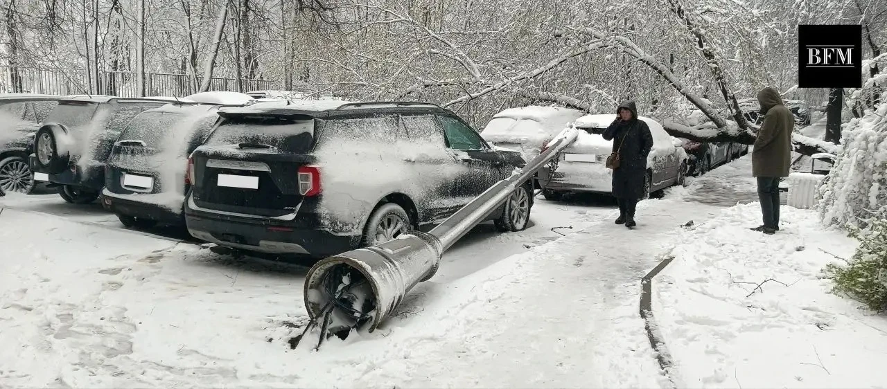 ❗️ВНИМАНИЕ В Москве и области массово падают деревья из-за налипшего снега  Мокрый снег ломает ветки