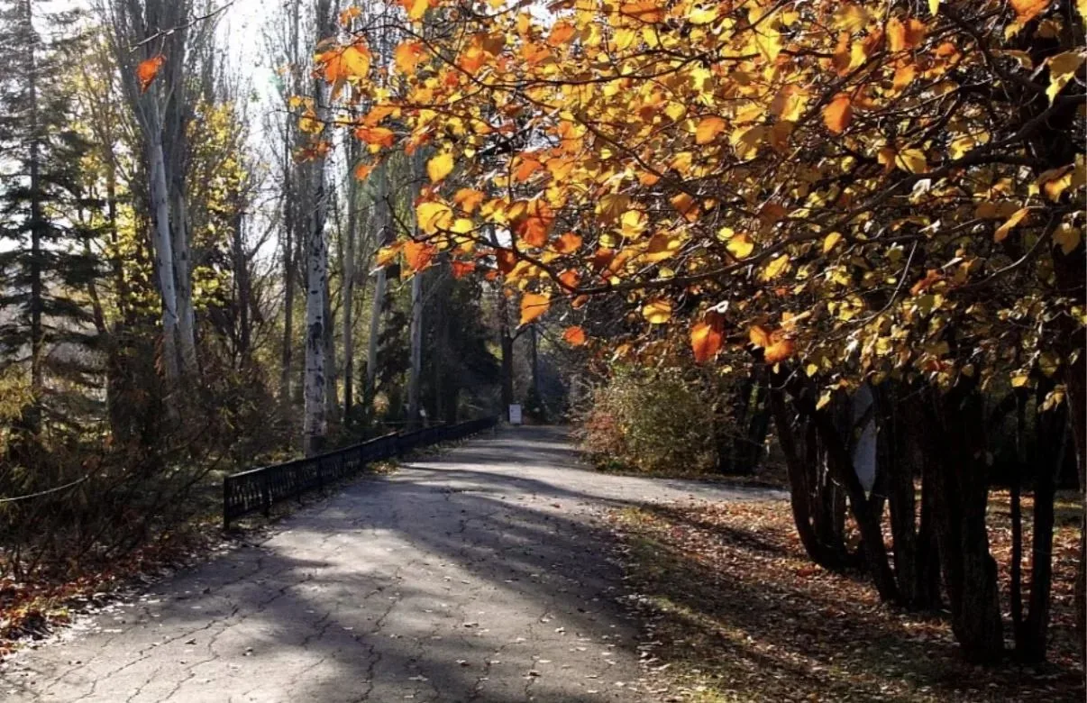 🍂Ботанический сад меняет режим работы с 5 октября (понедельник)