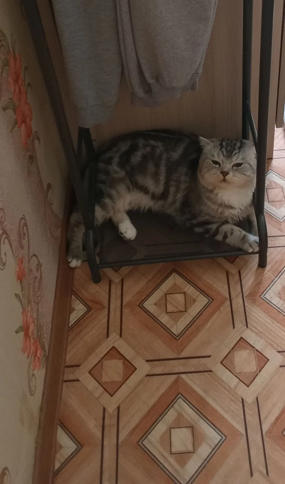 Доброе утро Рябковцы!