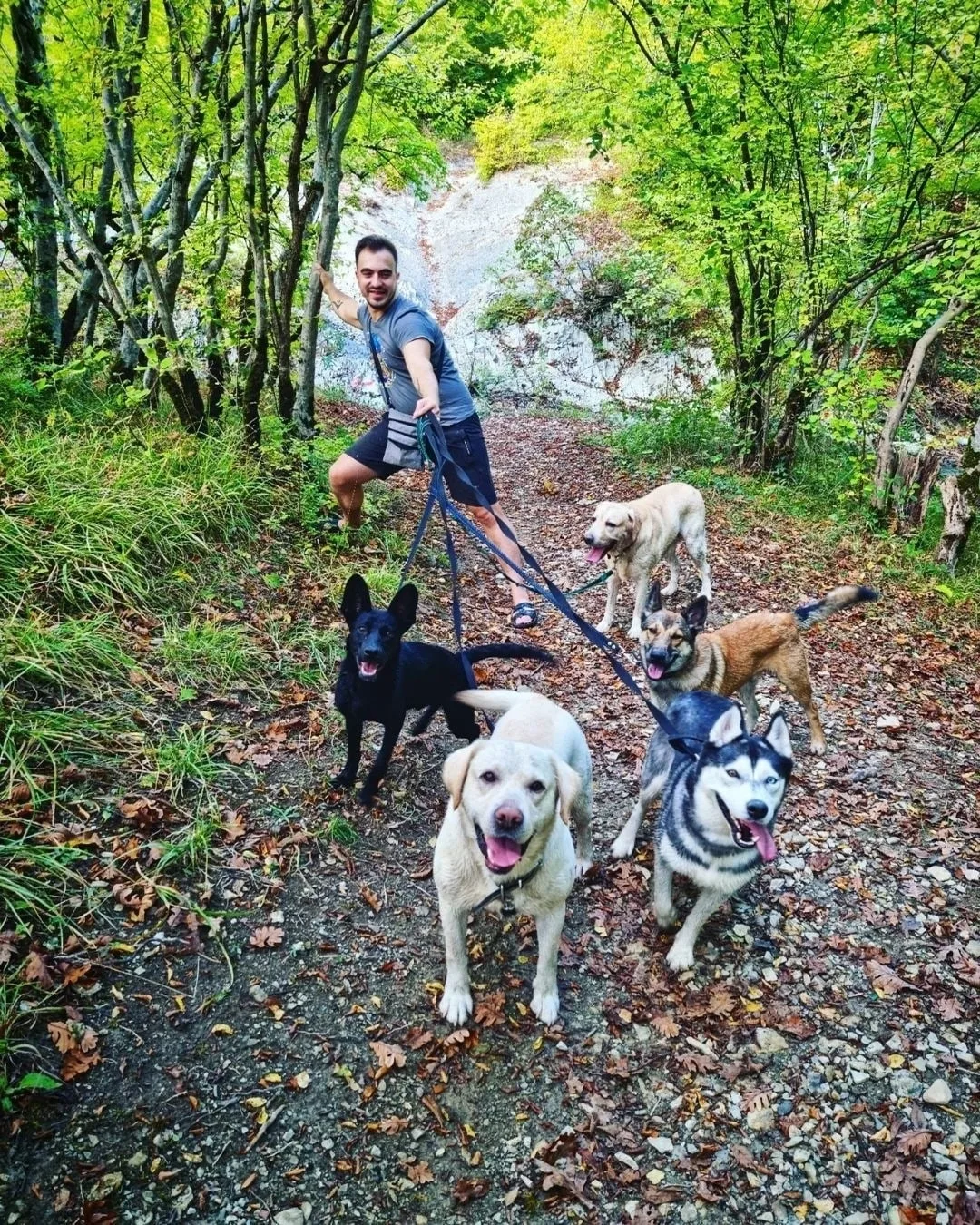 🐕Когда надо выгулять всех одновременно)))