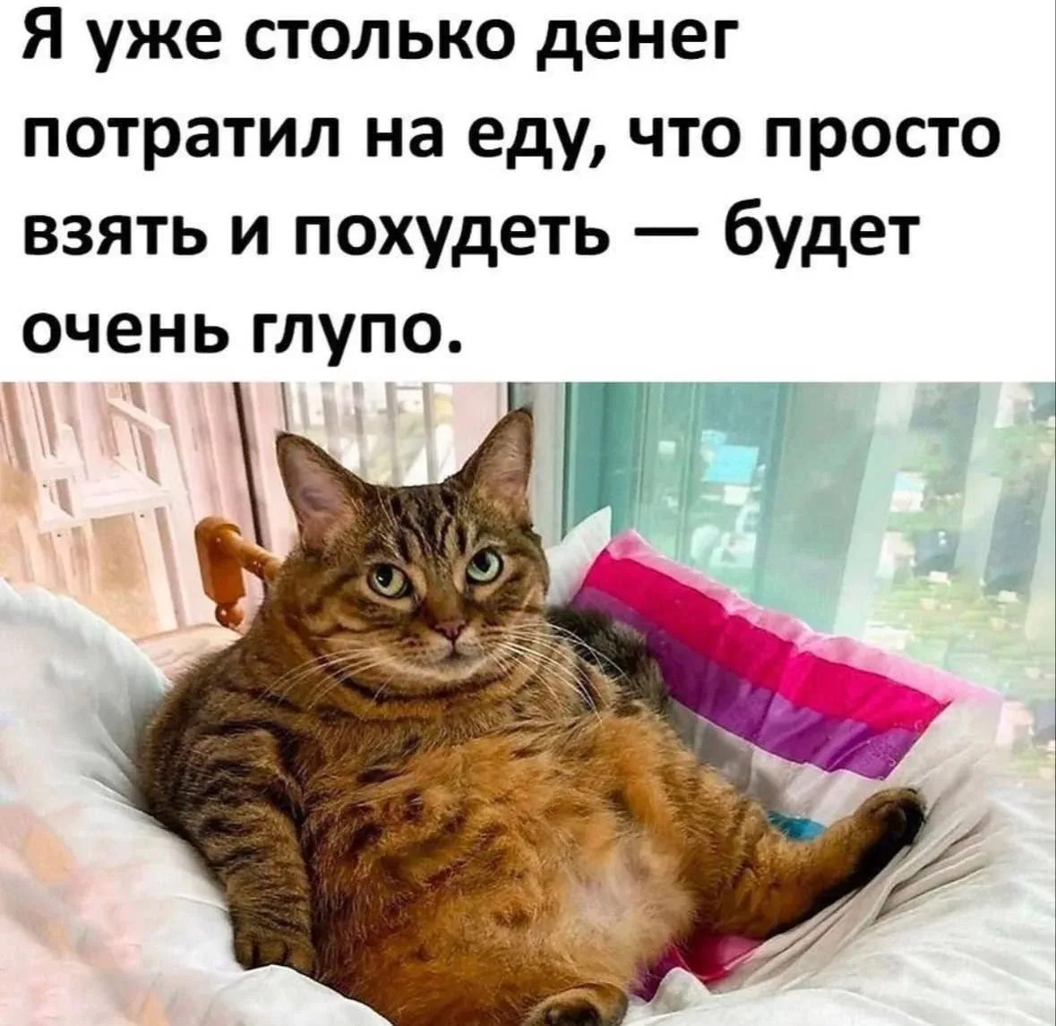 Действительно 😁