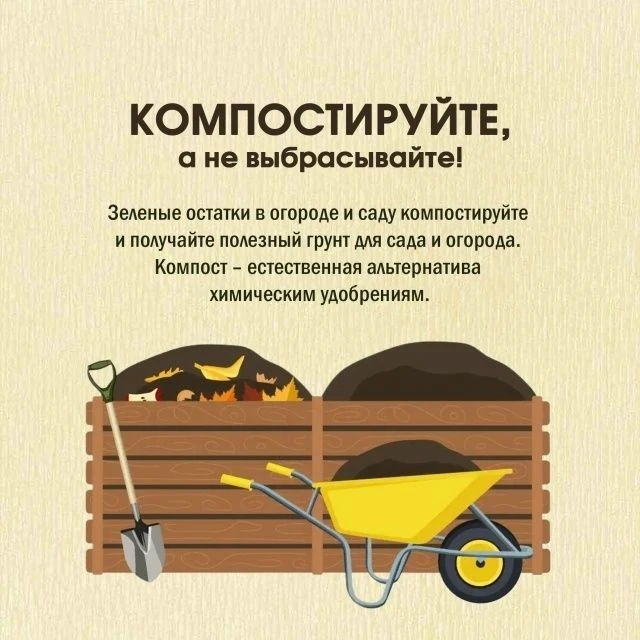 ❗Конец лета и начало осени — горячая пора на участке: пора собирать плоды трудов и одно...