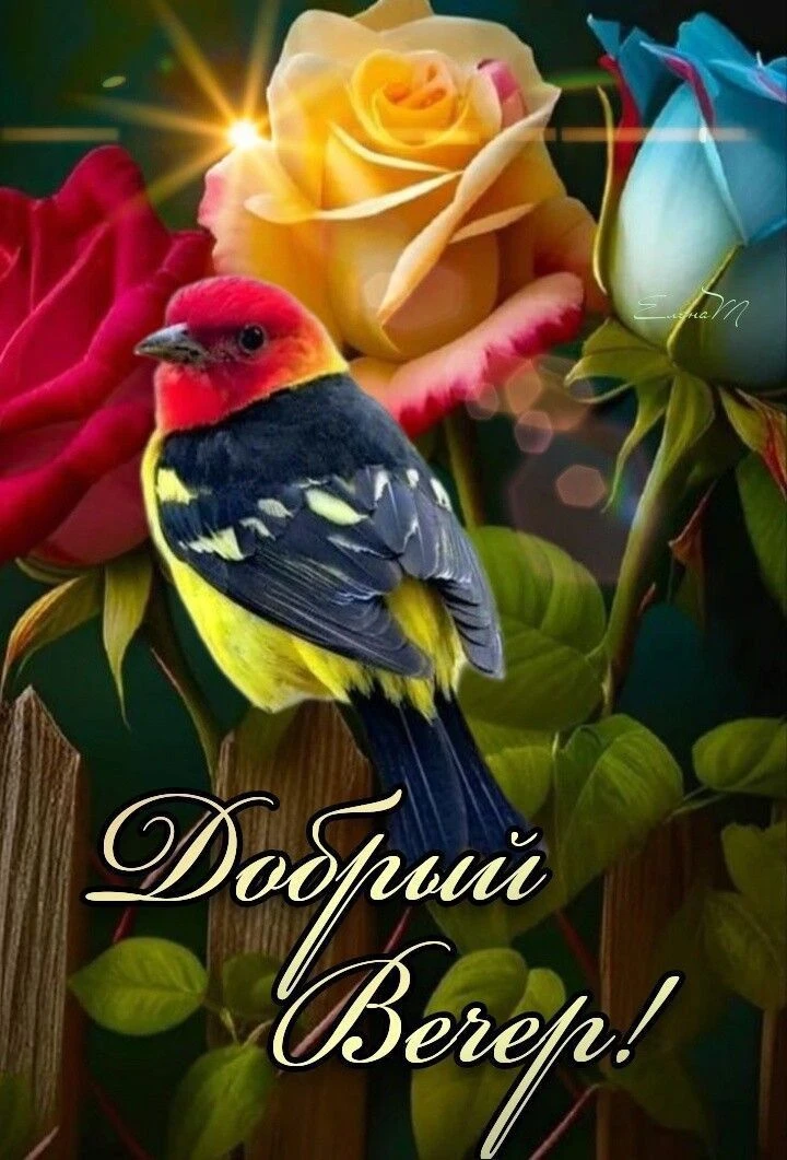 Пусть вечер будет добрым и уютным! ✨🌙💐