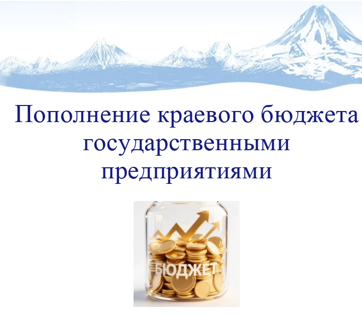 ❓❗️Как государственные предприятия пополняют краевой бюджет