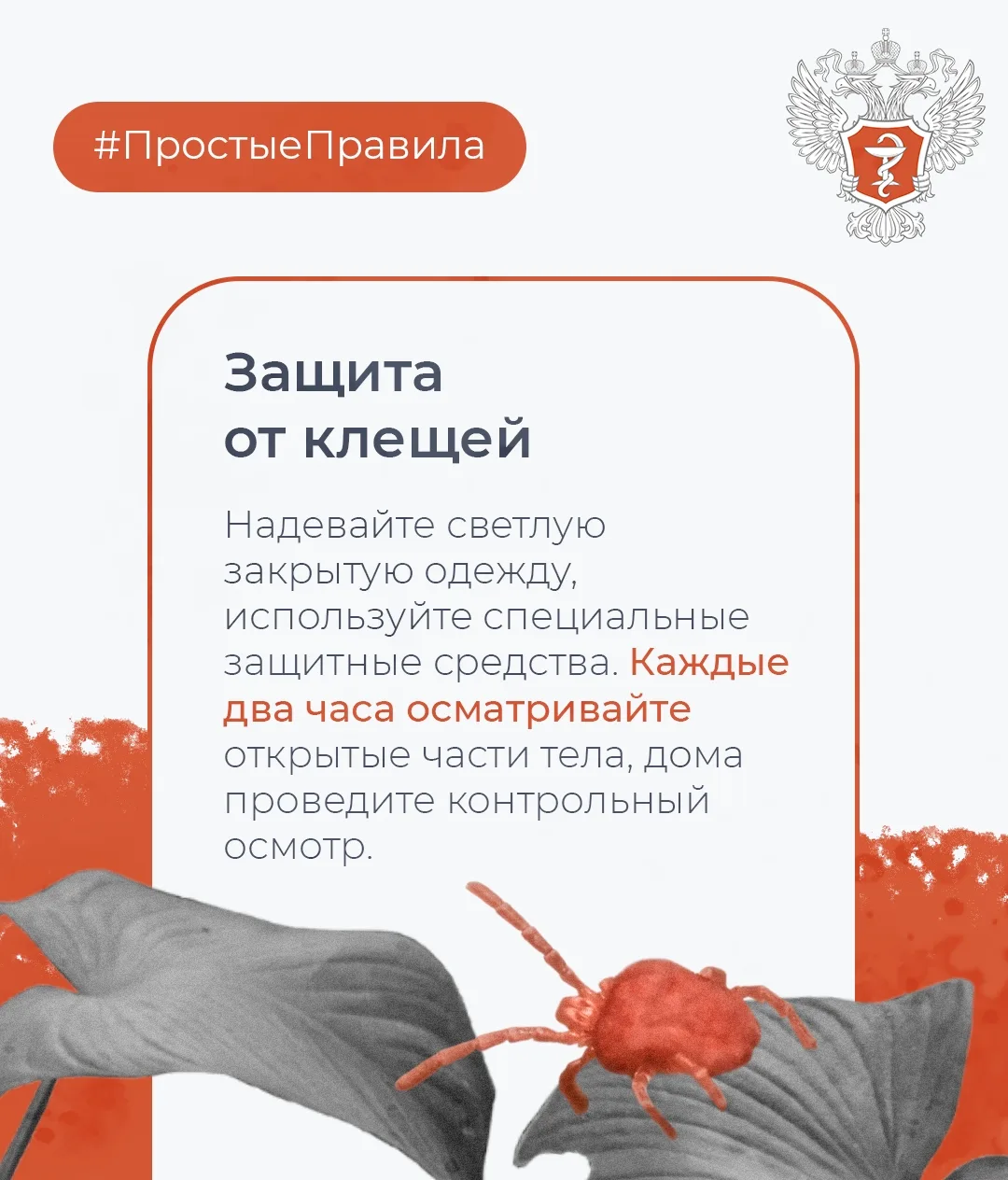 #ПростыеПравила: Минздрав России рассказал, как провести майские праздники без вреда для здоровья  М
