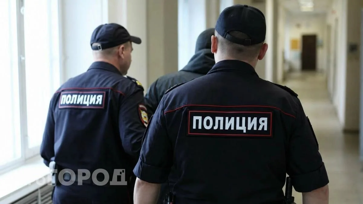 Заявление в полицию на несуществующих мошенников обернулось для жителя Семенова уголовным делом

В С