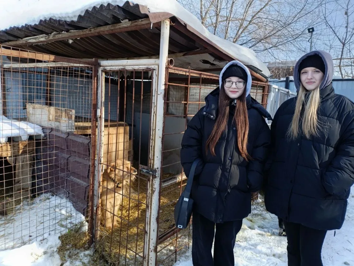 Посещение приюта для собак "Ковчег"  Ребята 11э класса недавно посетили приют для собак "Ковчег", ос