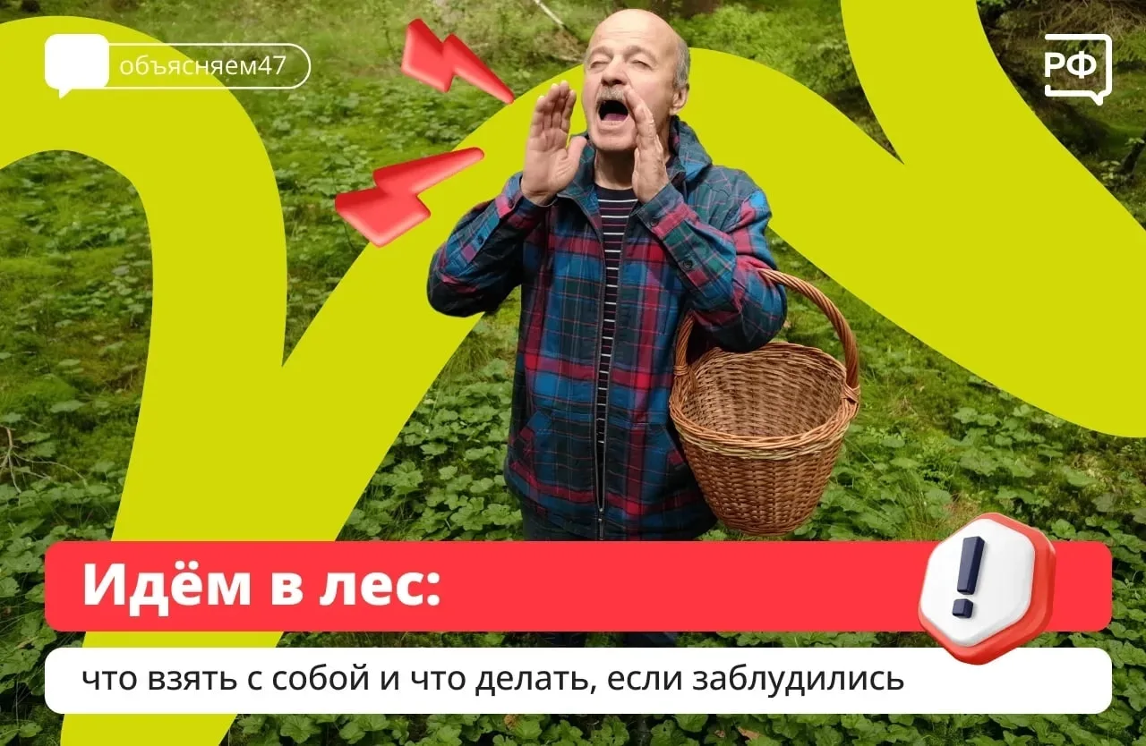 В Ленобласти в разгаре сезон грибов и ягод. Собираясь в лес, строго соблюдайте меры без...