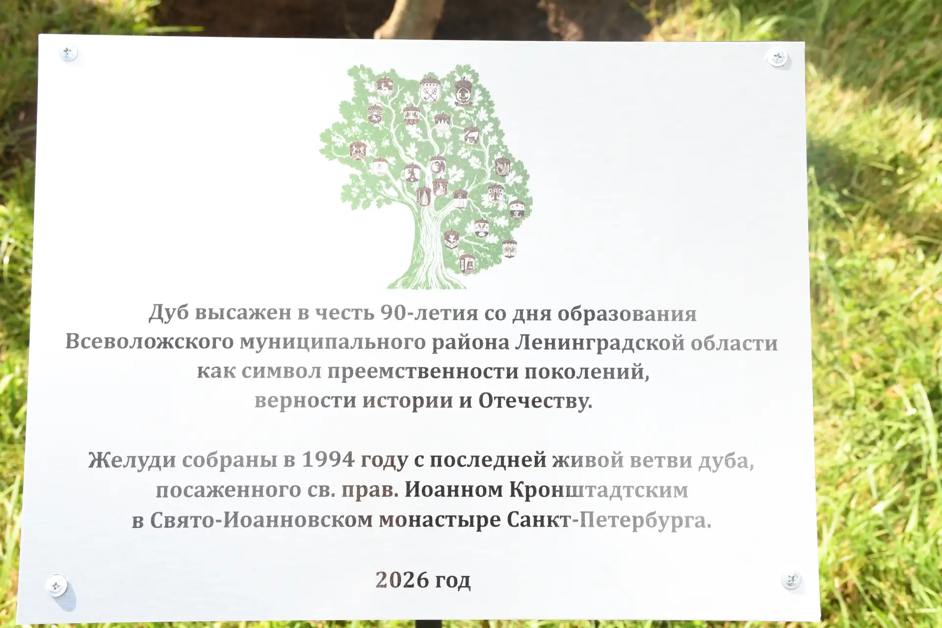 🌱В Агалатово высадили дуб в честь 90-летия Всеволожского района