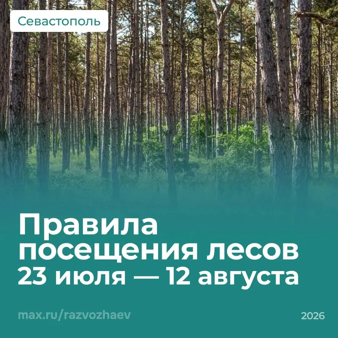 Михаил Развожаев: Леса Севастополя остаются открытыми для прогулок. Но из-за высокой по...