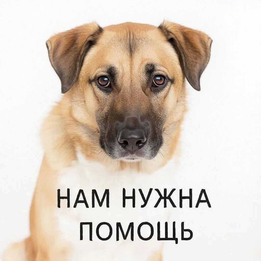 Друзья!