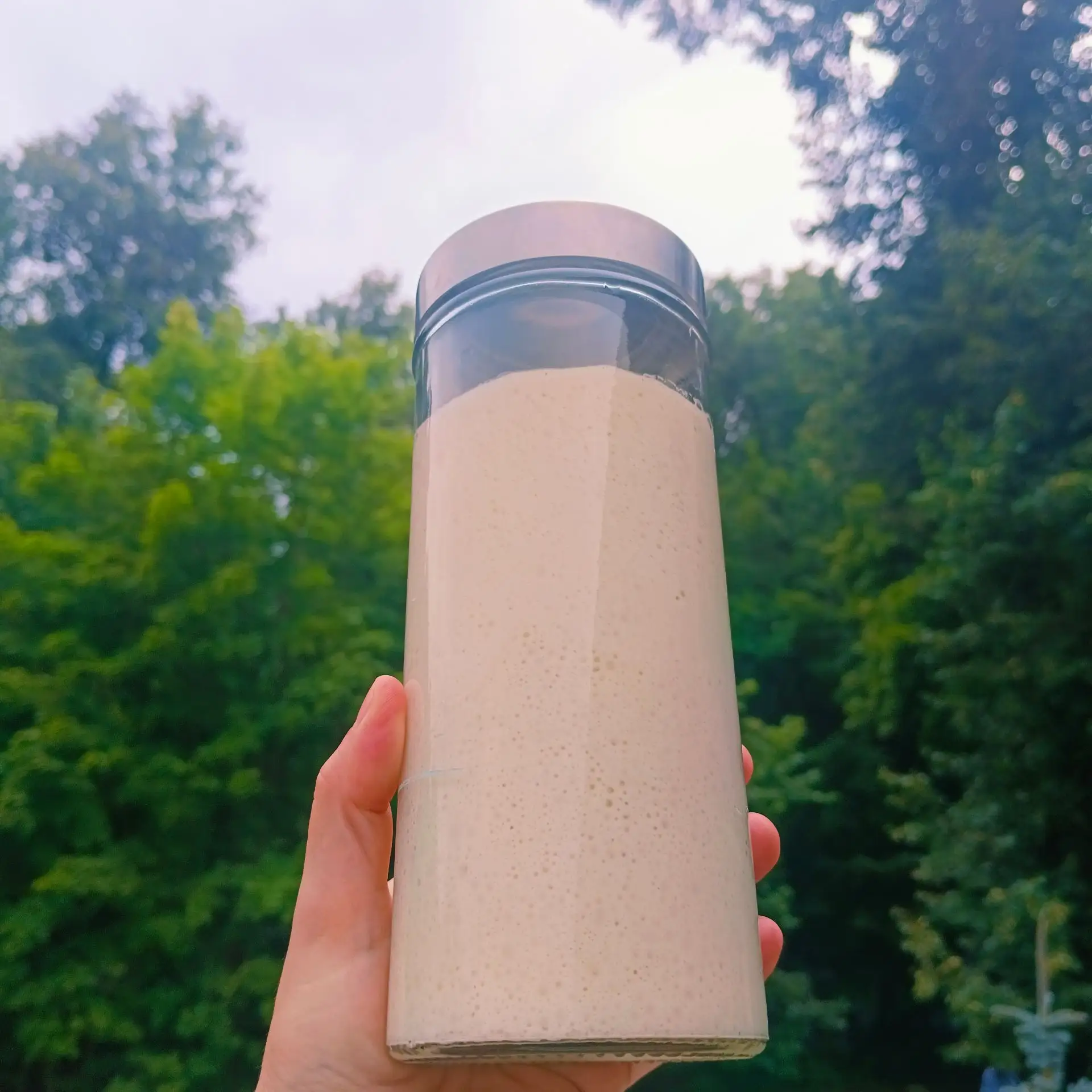 Секрет нашей закваски — в лесу  🌿🍃🌳🌲