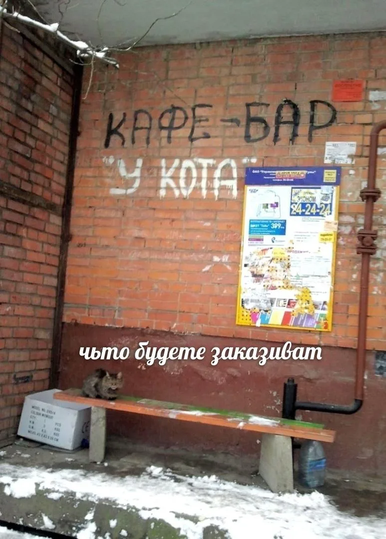 Мемы каждый день • Подписаться