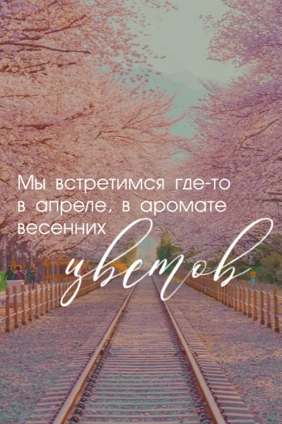 Подписывайтесь на наши каналы🫰