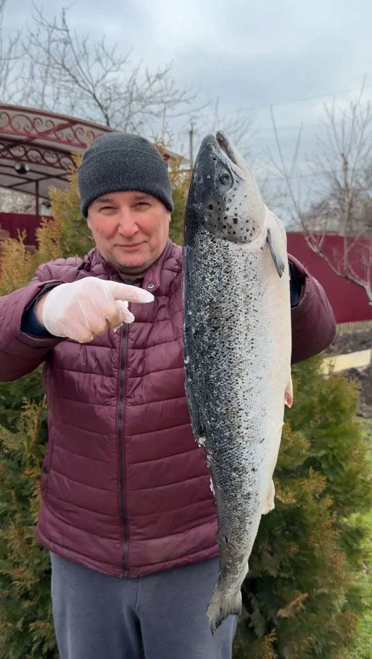 РЫБА, которую я буду готовить СНОВА и СНОВА