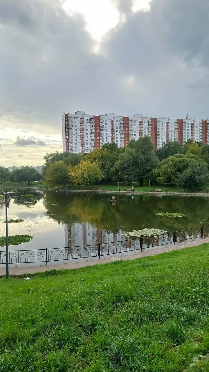 🌟 Осень совсем близко: судя по фотографиям Марии Головановой, деревья у пруда начали ж...