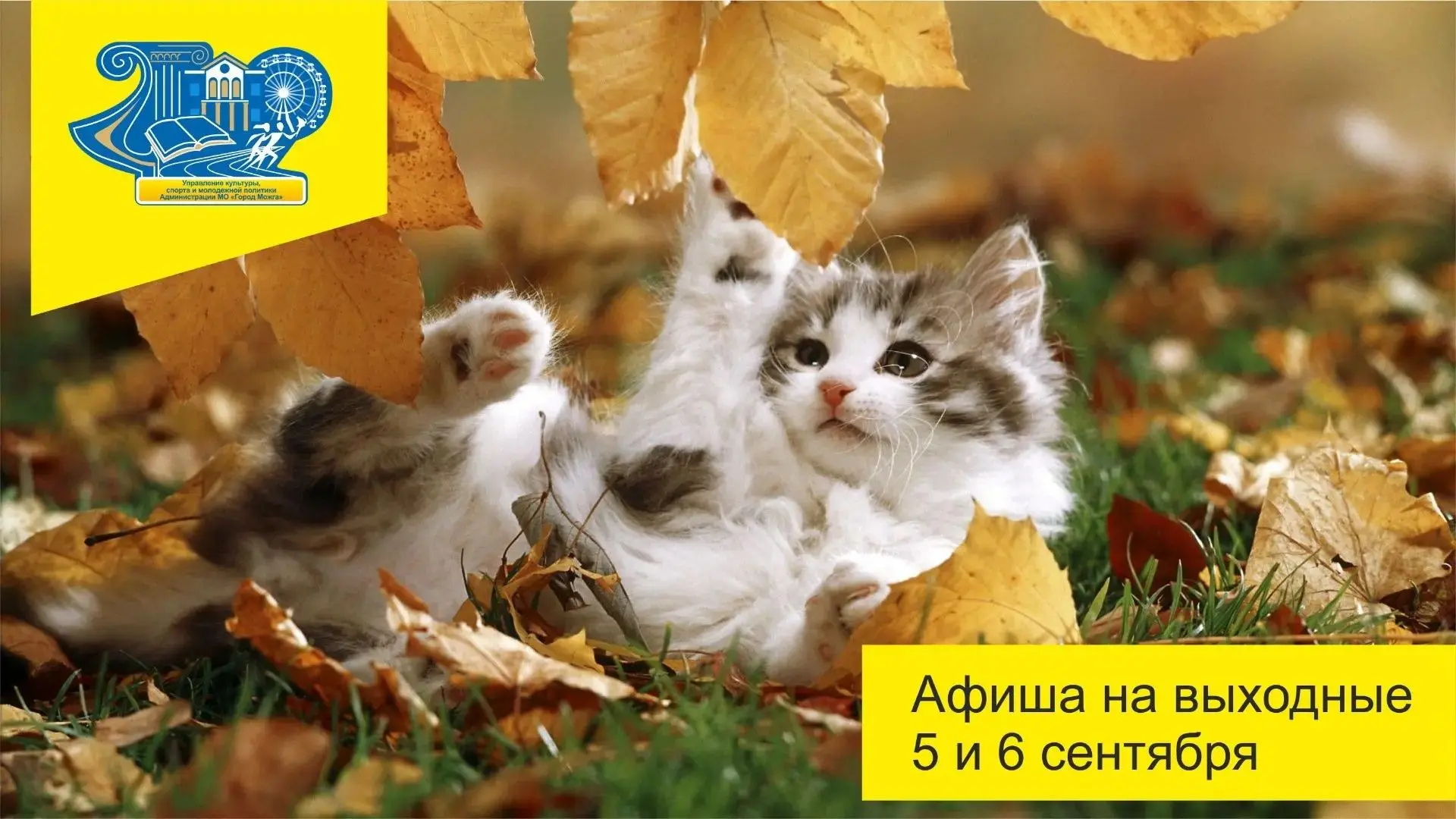 Афиша мероприятий на выходные