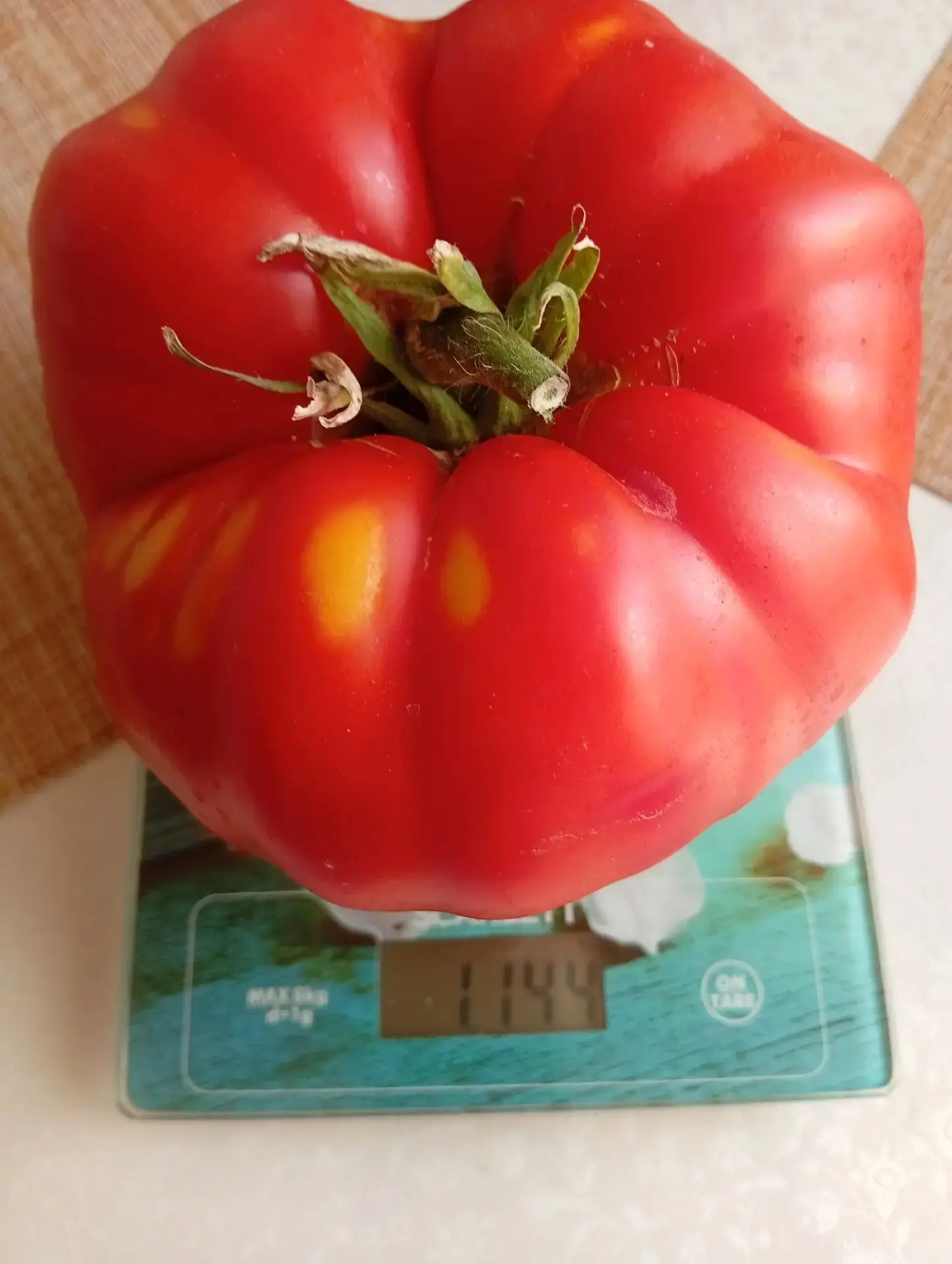 🍅 Томаты-гиганты выросли у нашей подписчицы из Орехово-Зуева