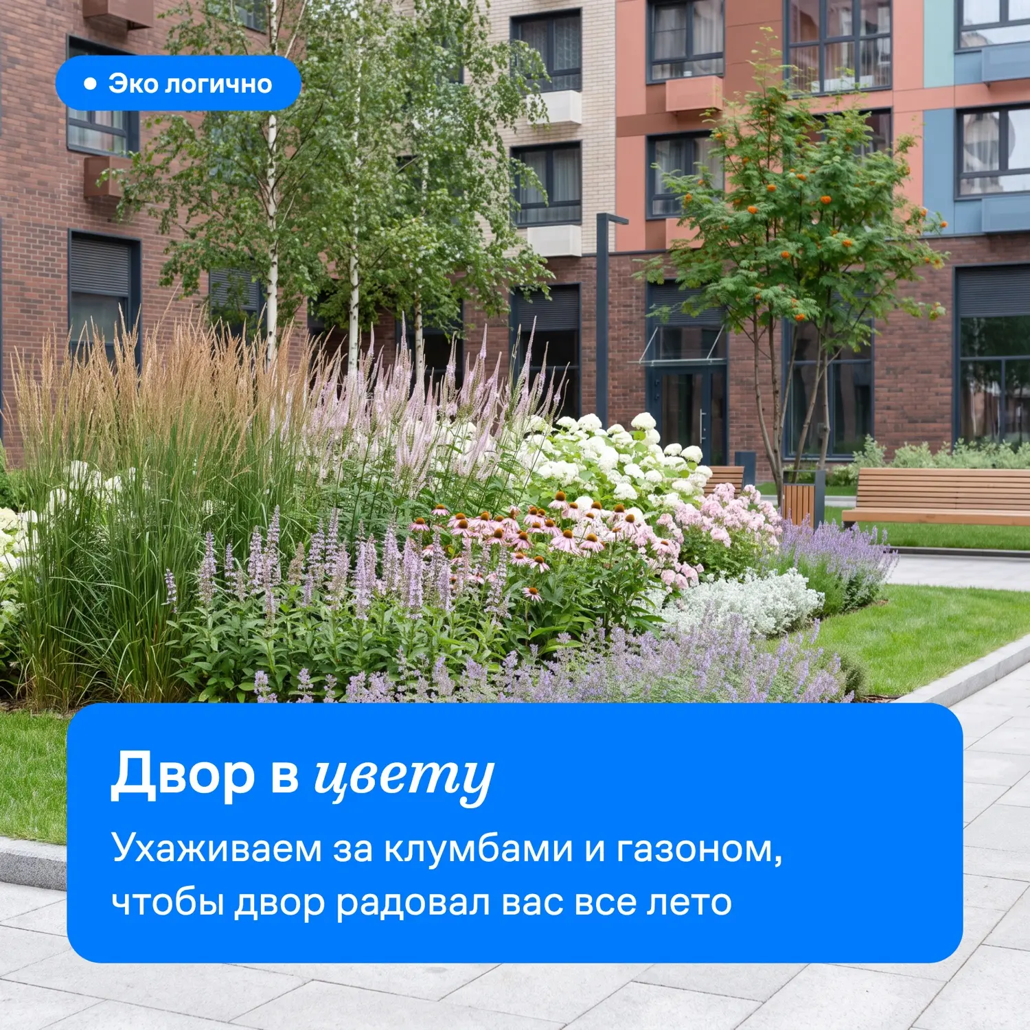 Жители уютных квартир 🏠