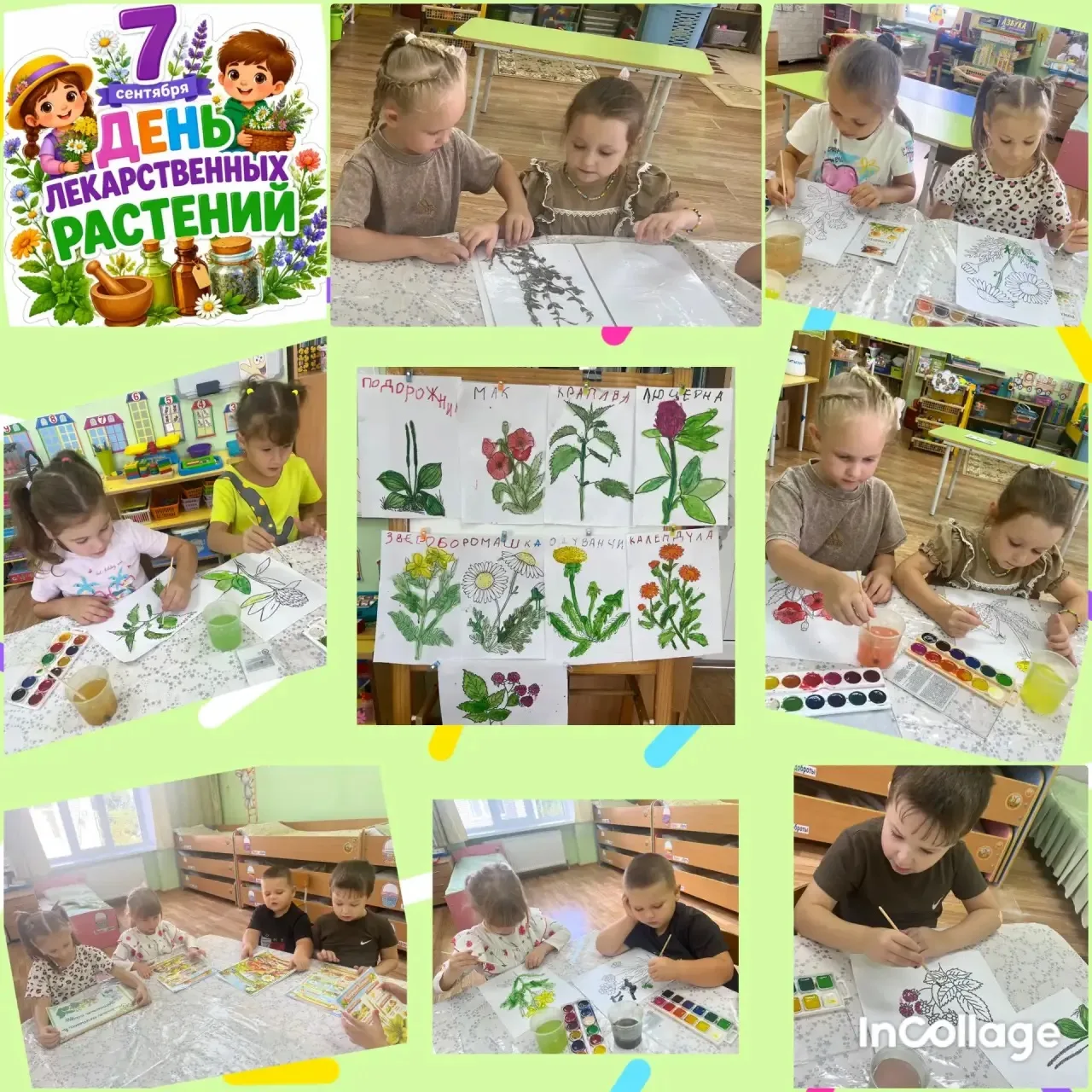 🌿🌼 День лекарственных растений в детском саду!🌼🌿