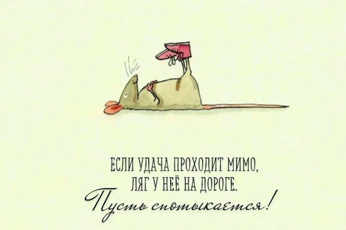Доброе субботнее! 😎