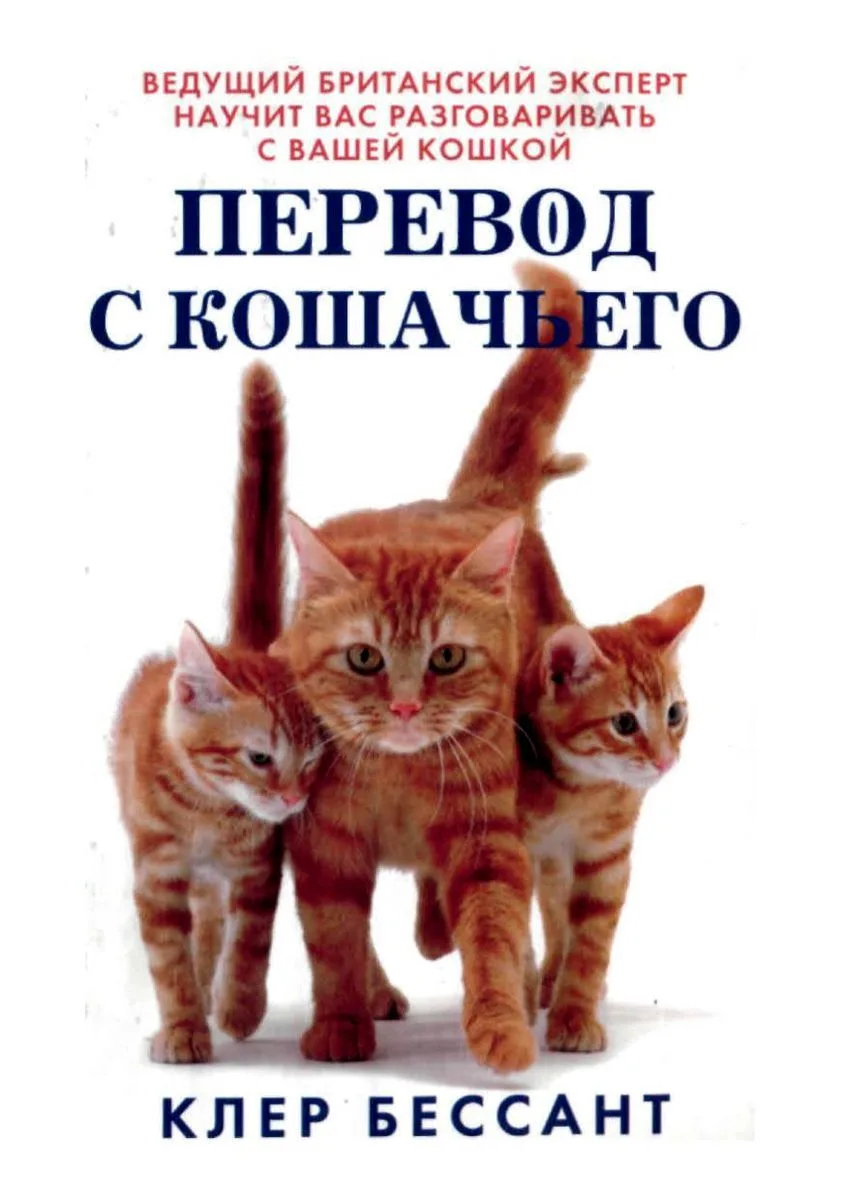 Перевод с кошачьего. Научитесь разговаривать со своей кошкой.