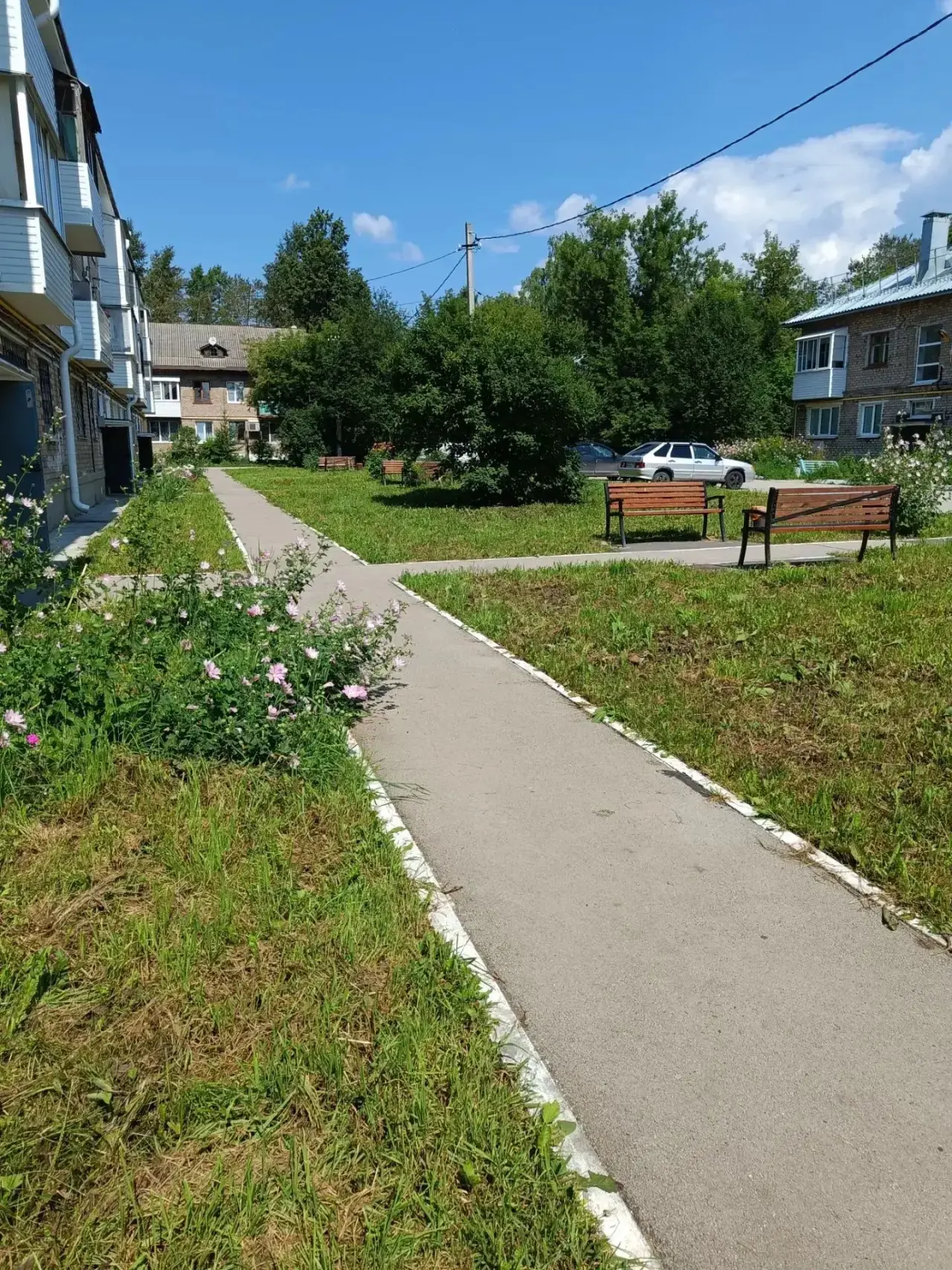 🌿 Сотрудники УК «Головановская жилищная служба» повторно выполнили покос травы на прид...