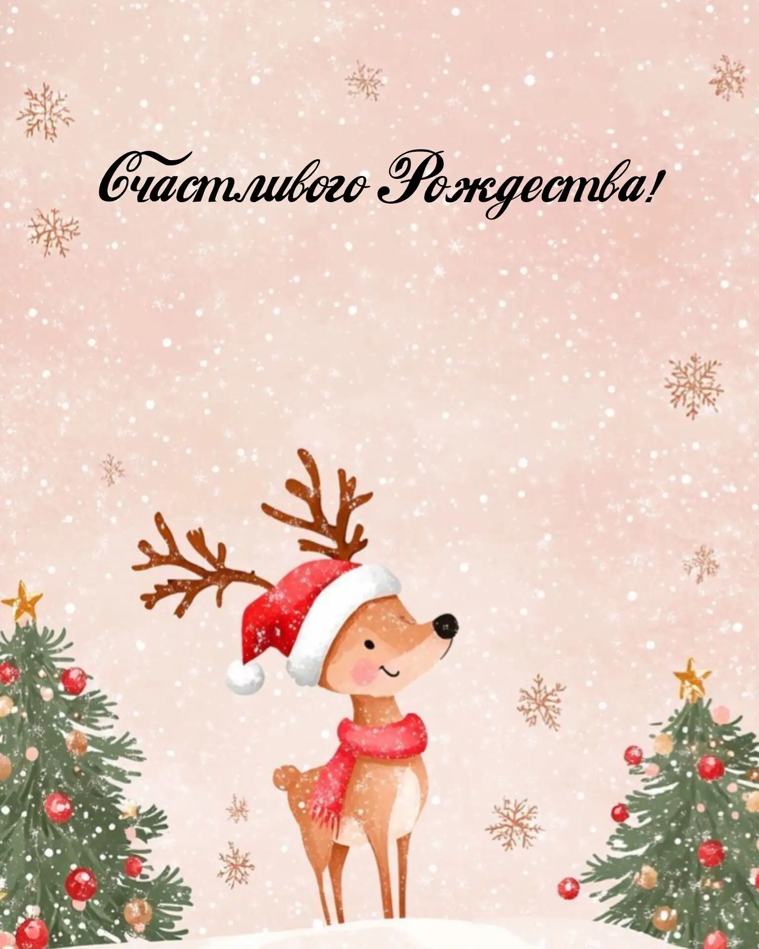 💫Дорогие педагоги, учащиеся и родители!