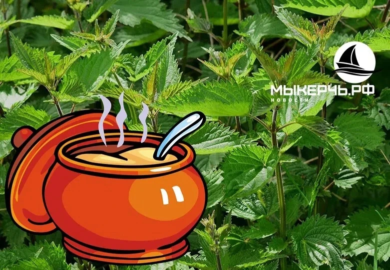 🍵 Едите полезные зеленые щи с крапивой?

Обеденная рубрика

Или борщ, как хотите, главное - это кла