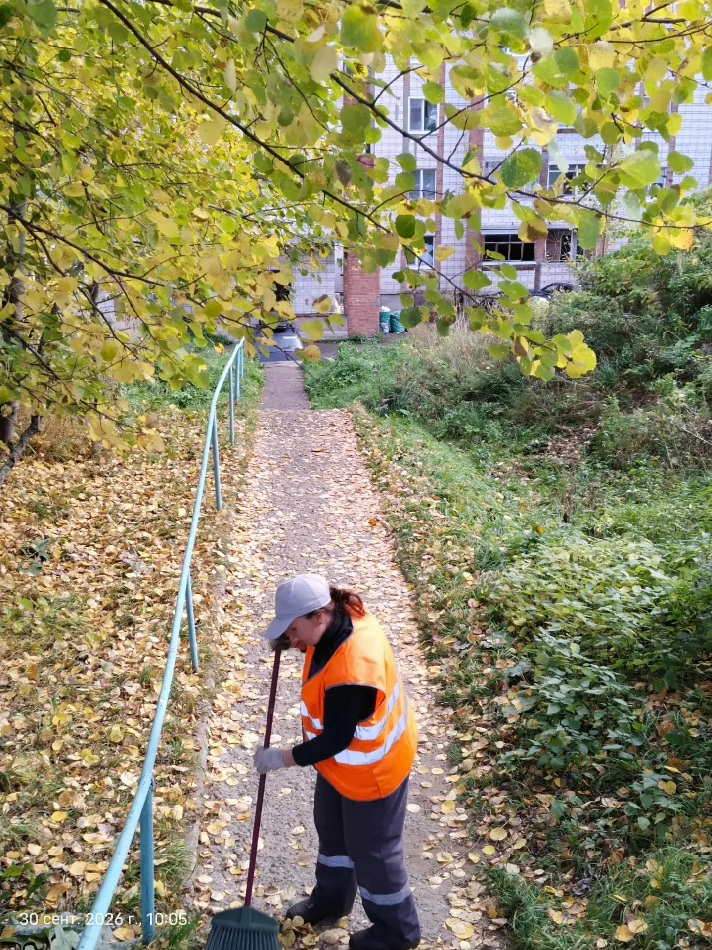 🍂Осенняя уборка во дворе — держим территорию в порядке!