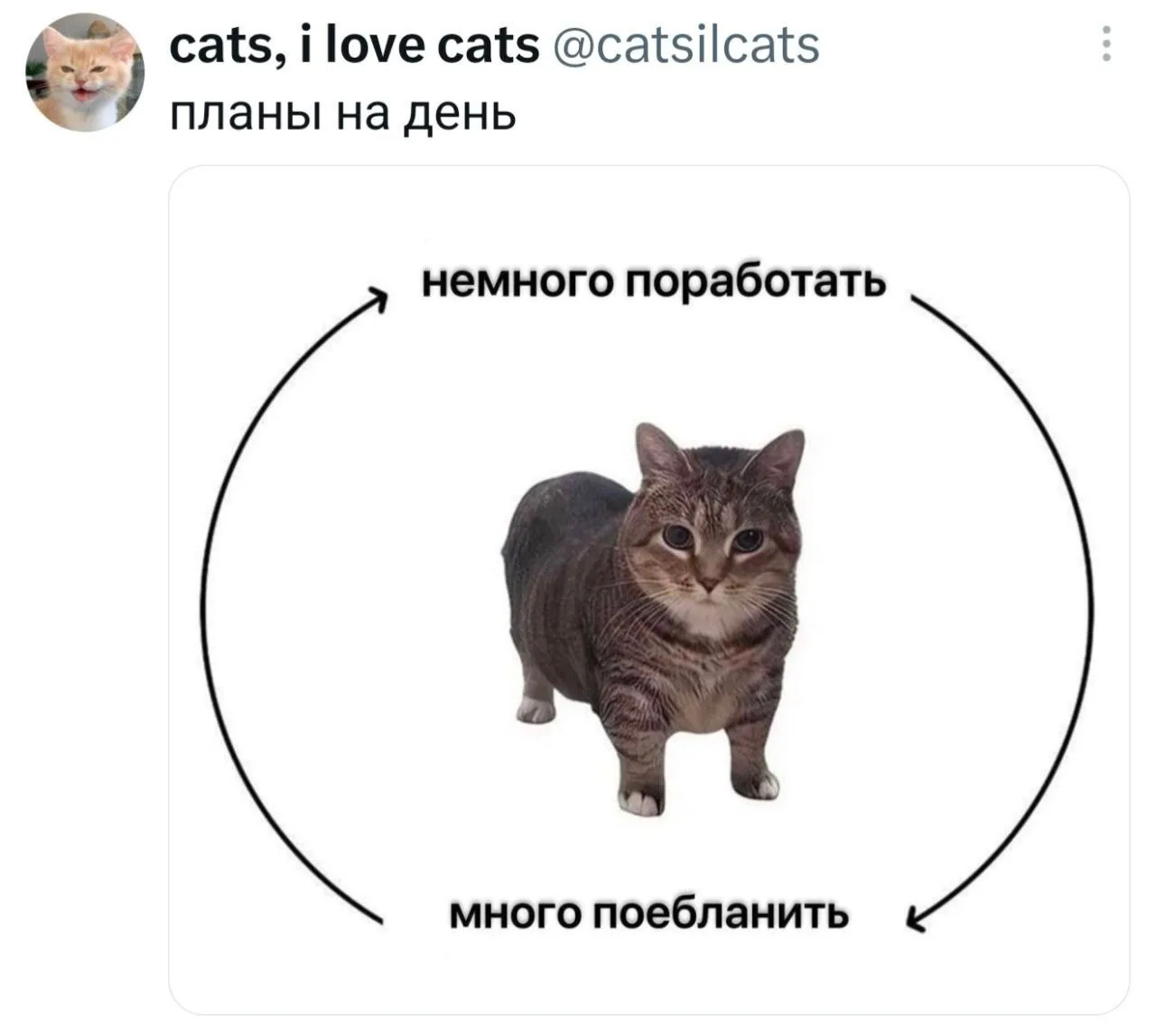 Главное не перепутать……