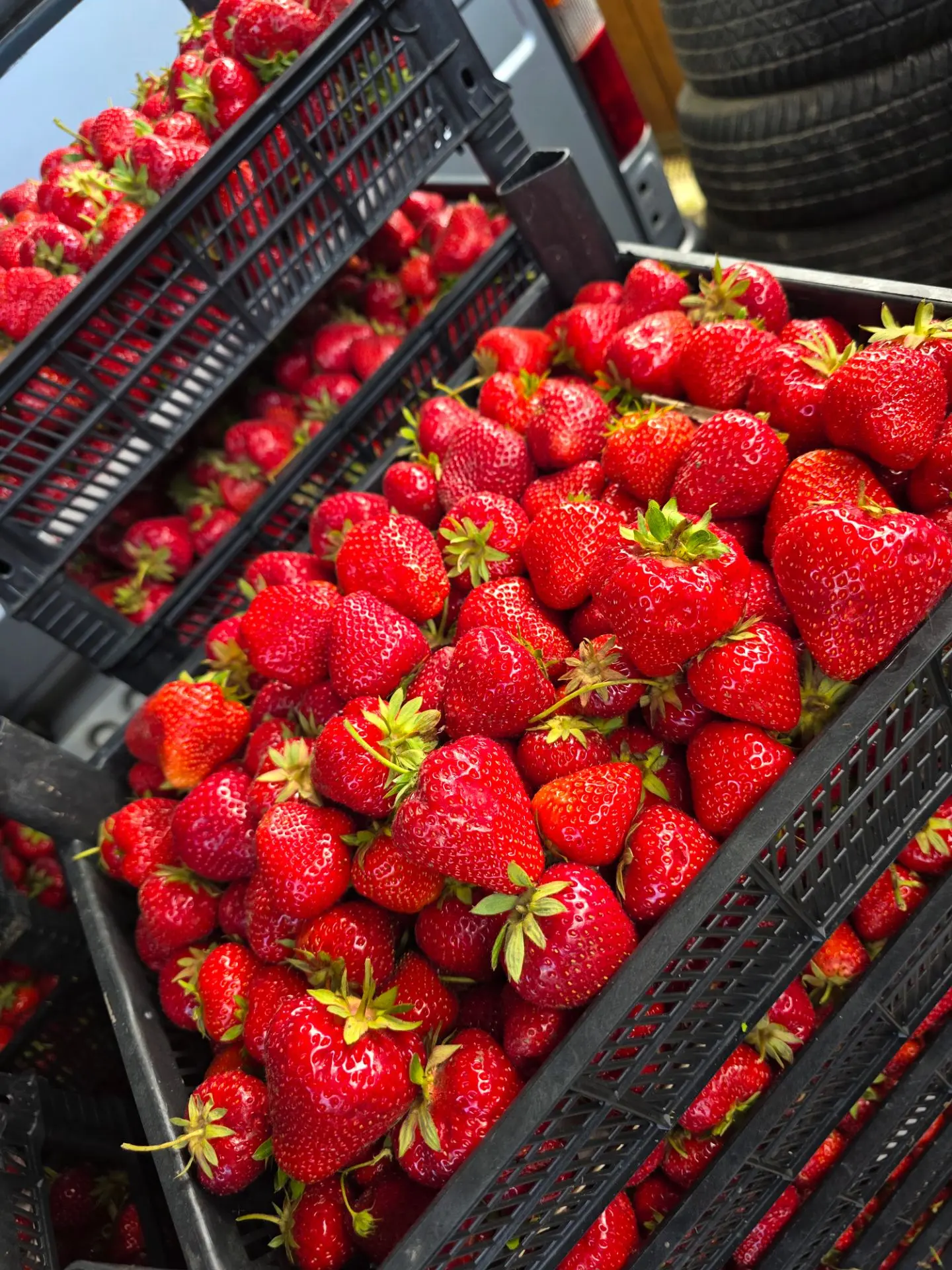 В наличии 🍓 
Ясная 60.
89181274802