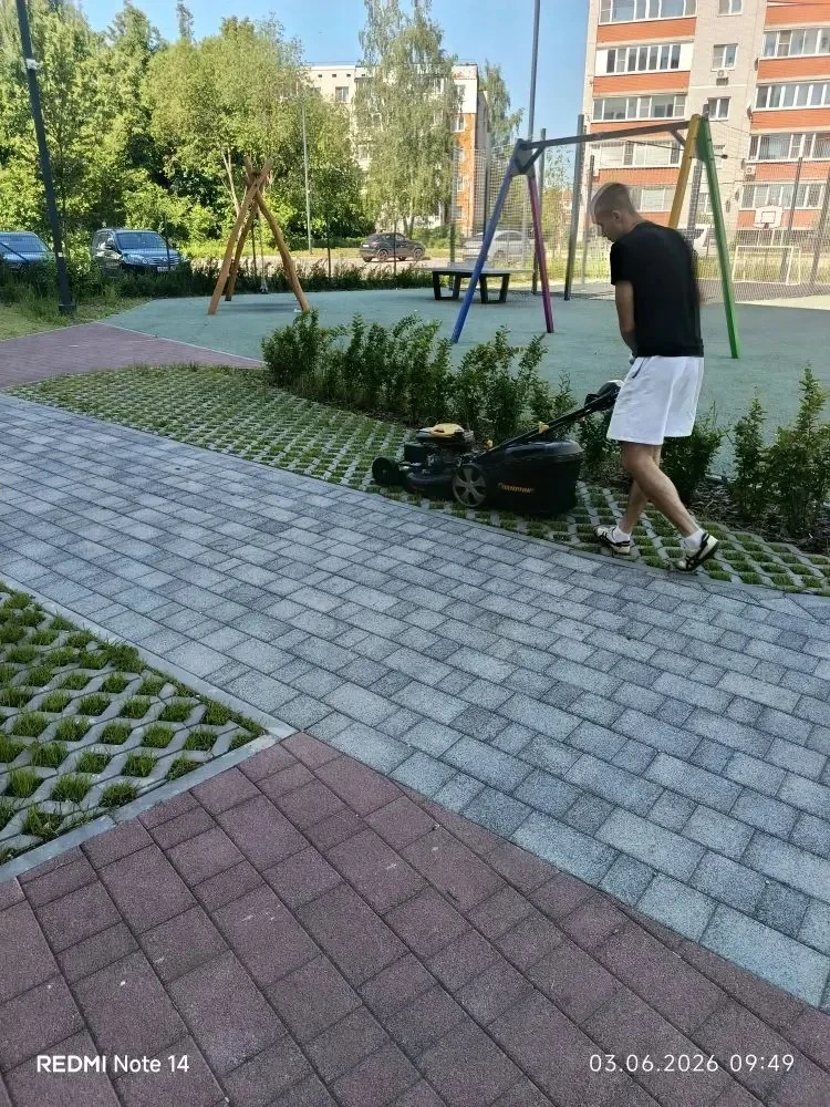 Доброе утро, жильцы! Спешим сообщить, что трава под контролем!

Пока вы на работе или дома с кружкой