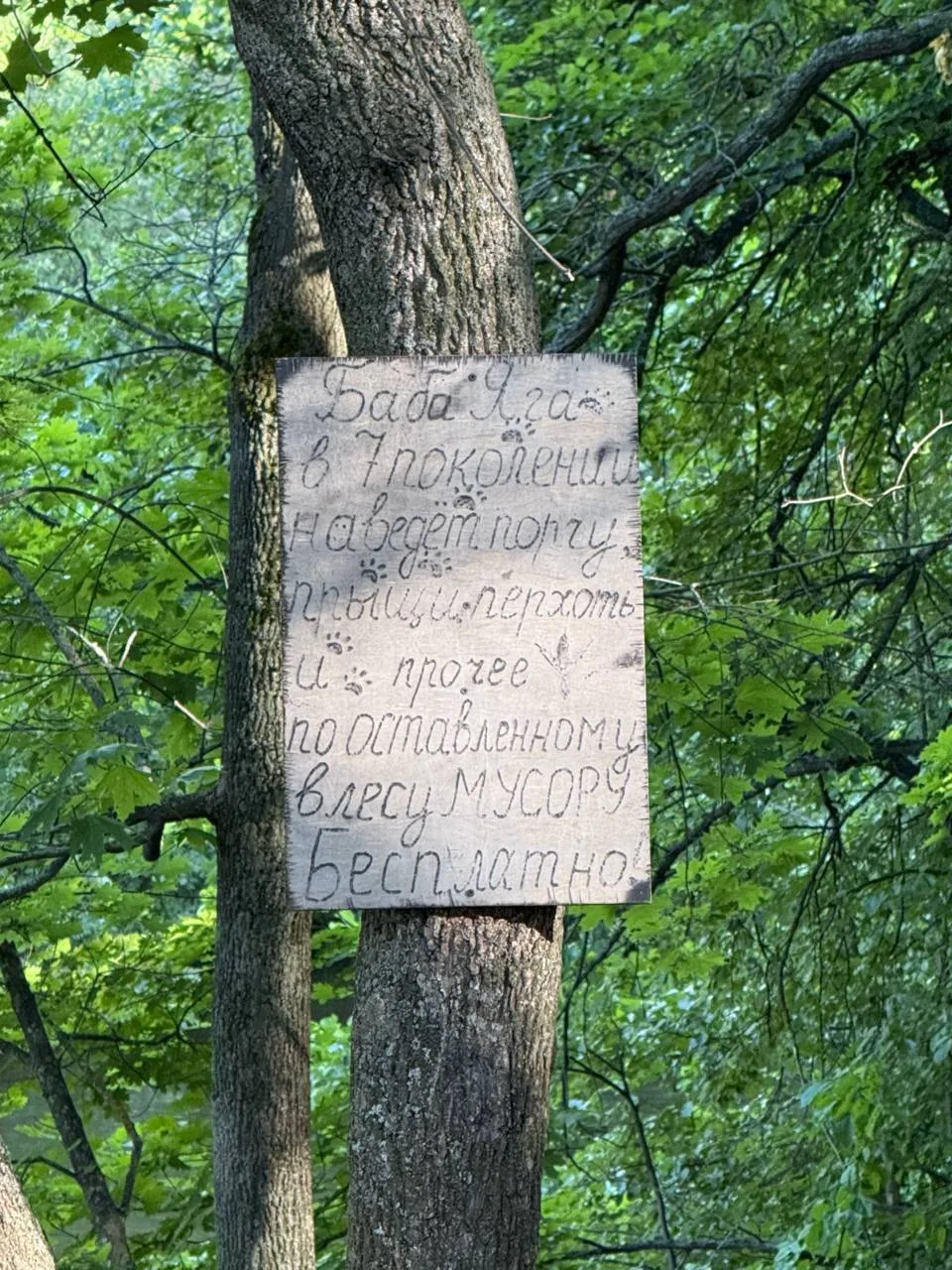 Замечено на Кумысной поляне 🫣